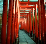 V500 Portra160VC Scan-140204-0005.jpg