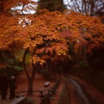 V500 Portra400VC 103